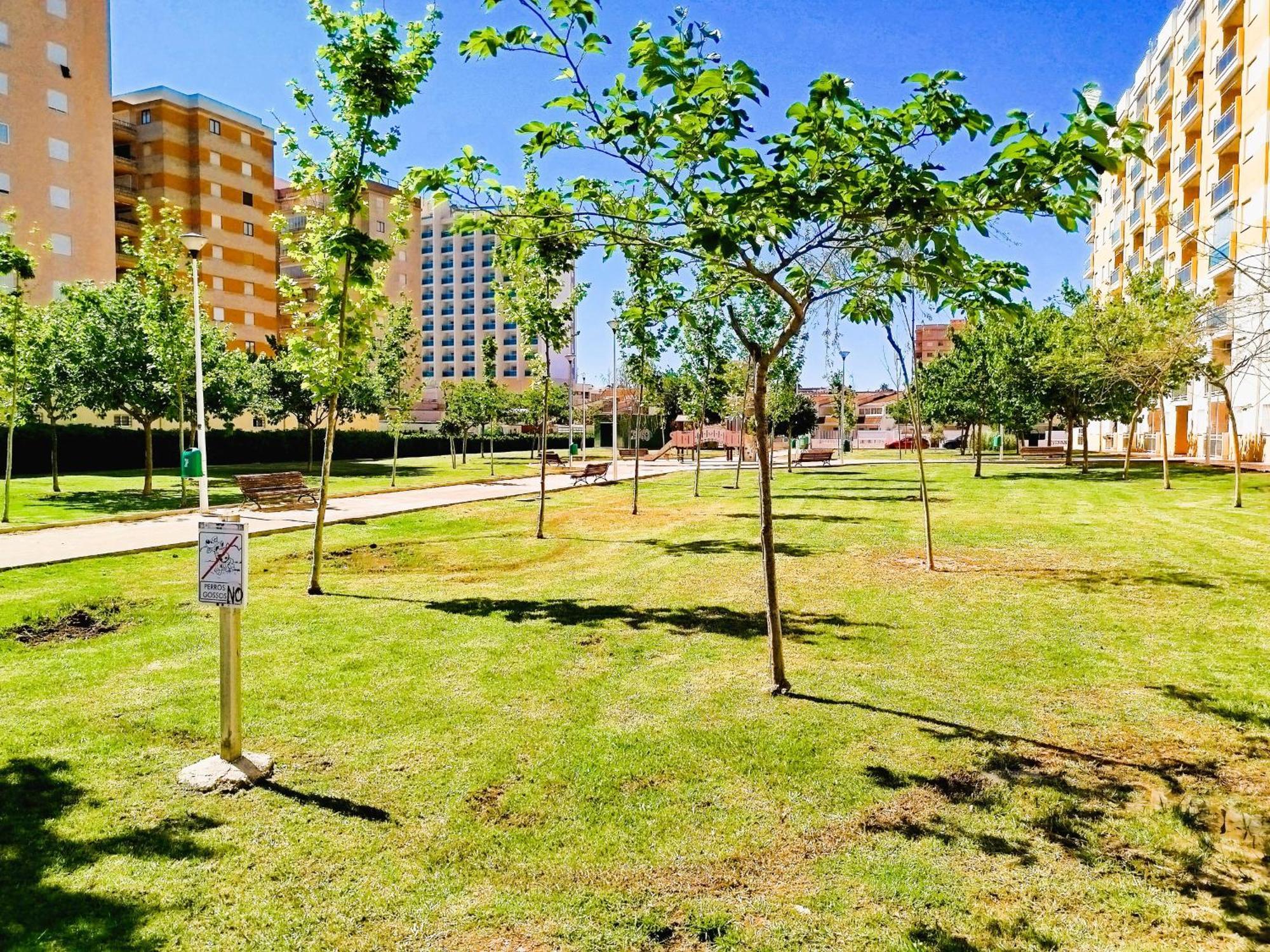 Milion Destiny Daytona Primera Linea Playa Apartment Оропеса дел Мар Екстериор снимка